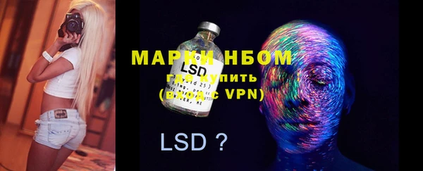 прущие грибы Покров