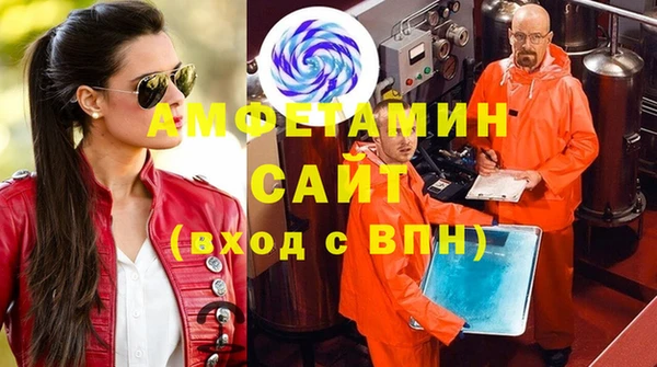 прущие грибы Покров