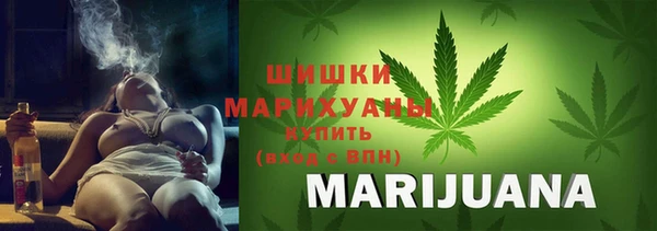 прущие грибы Покров