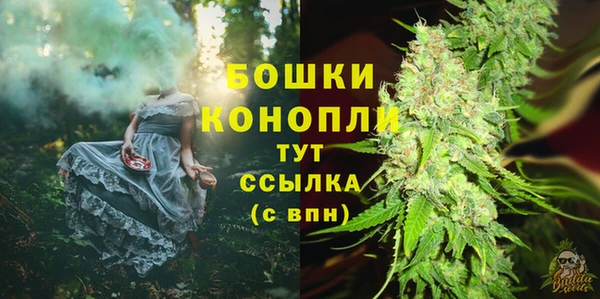амф Покачи