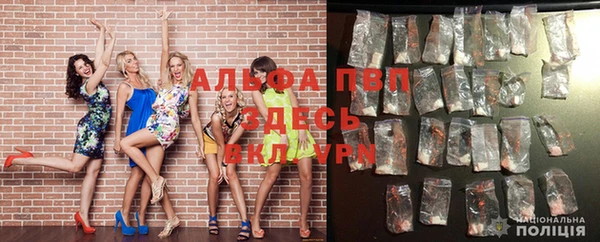 амф Покачи