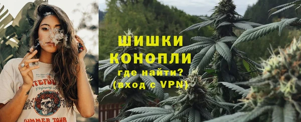 прущие грибы Покров