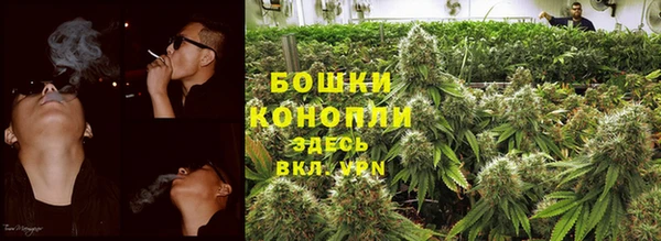 прущие грибы Покров