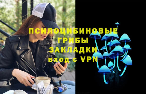 крисы Покровск