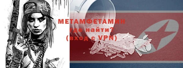 прущие грибы Покров