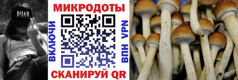Купить закладки  Павловская  Псилоцибиновые грибы мухоморы 