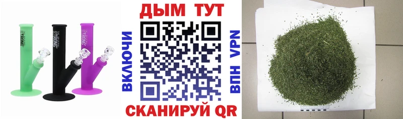 Бошки марихуана OG Kush  Купить закладки  Павловская 